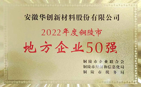 2022年度铜陵市“地方企业50强” - 副本.jpg