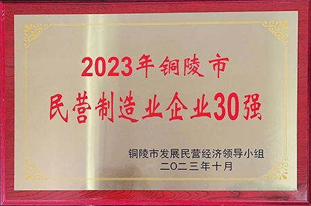 2023年铜陵市“民营企业50强”